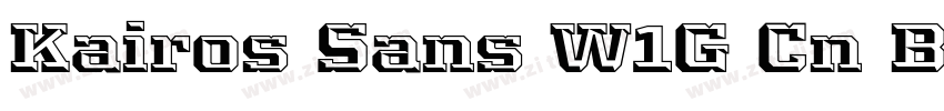 Kairos Sans W1G Cn B字体转换